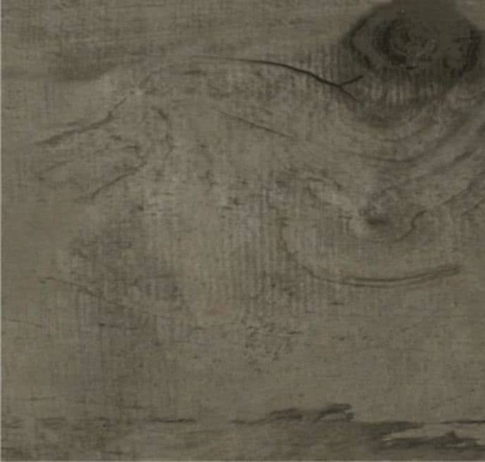 アマゾンウッド