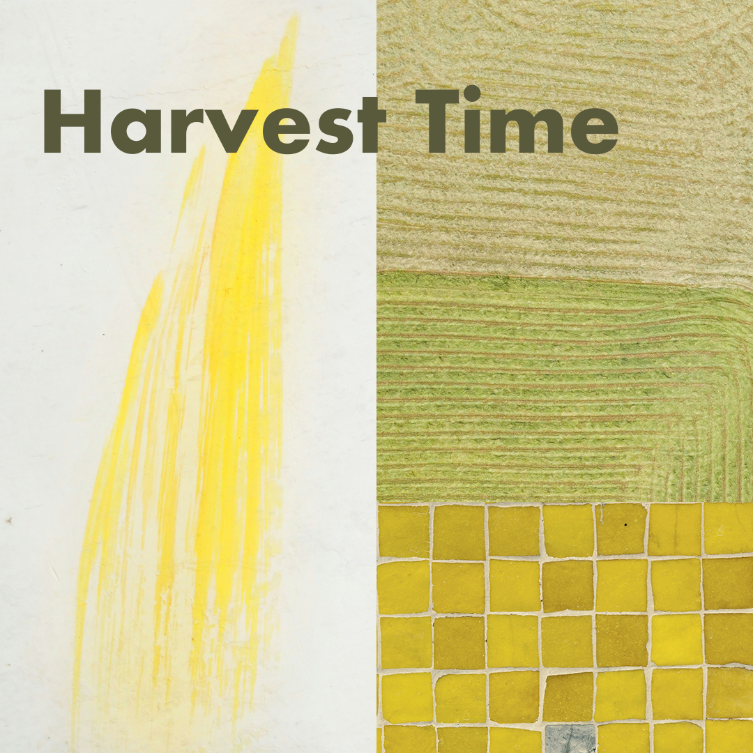 Harvest Time